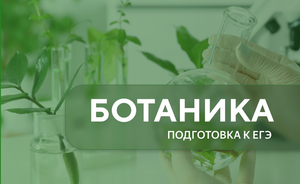 ботаника