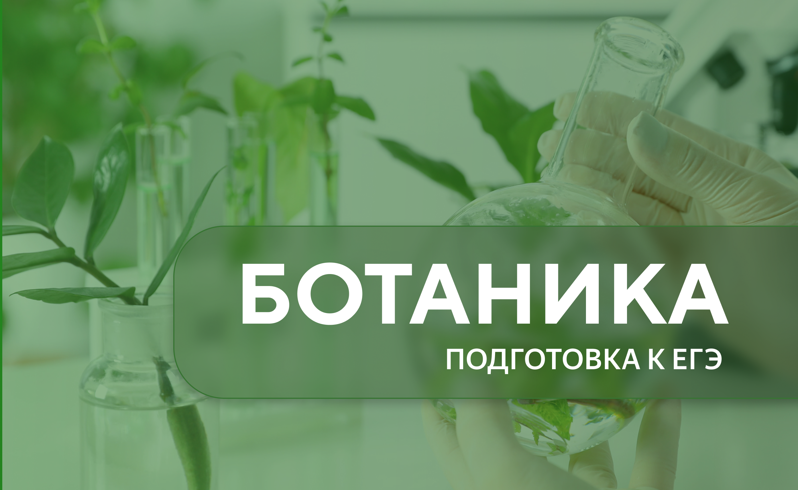 Ботаника (подготовка к ЕГЭ)