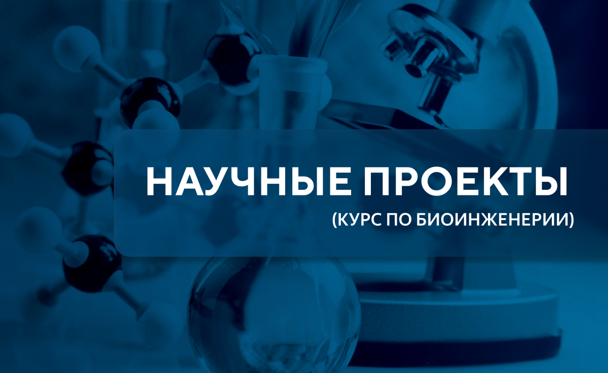 научные проекты 1