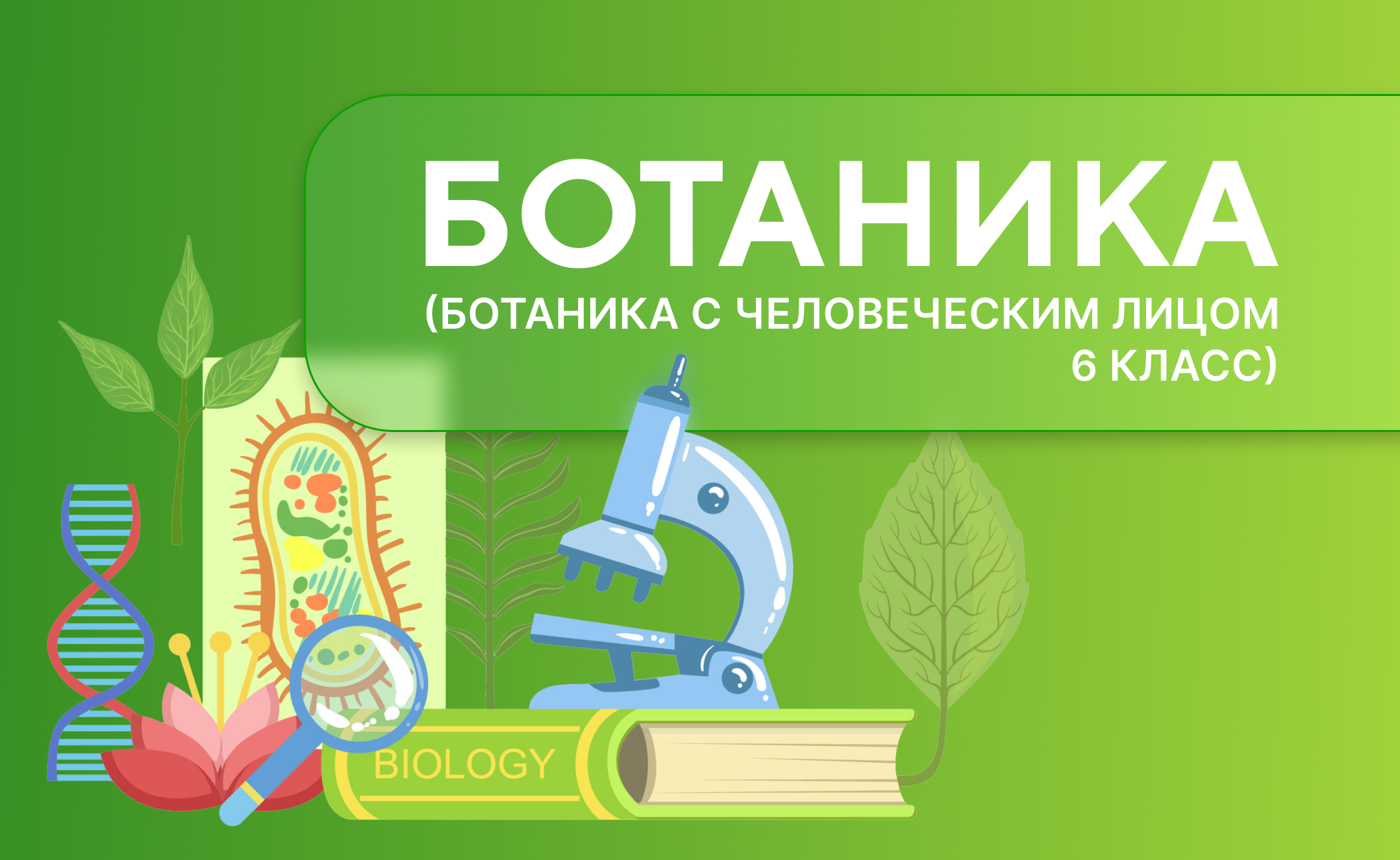 ботаника 6 класс