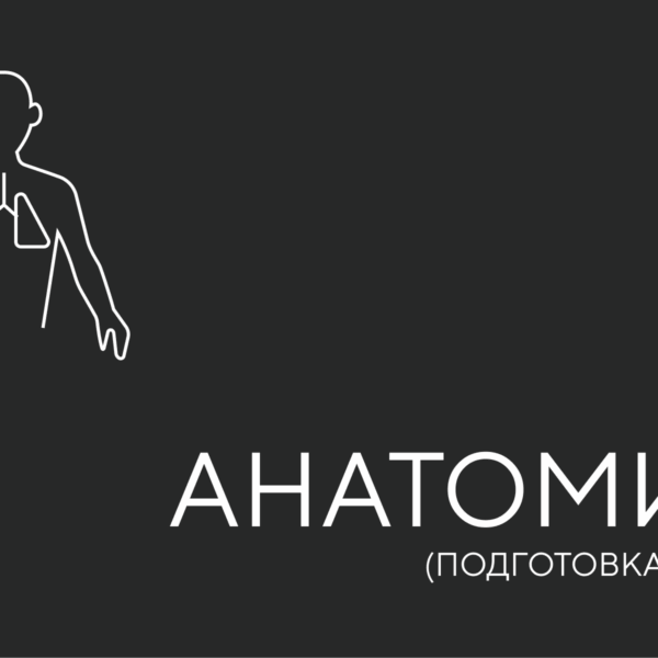 анатомия