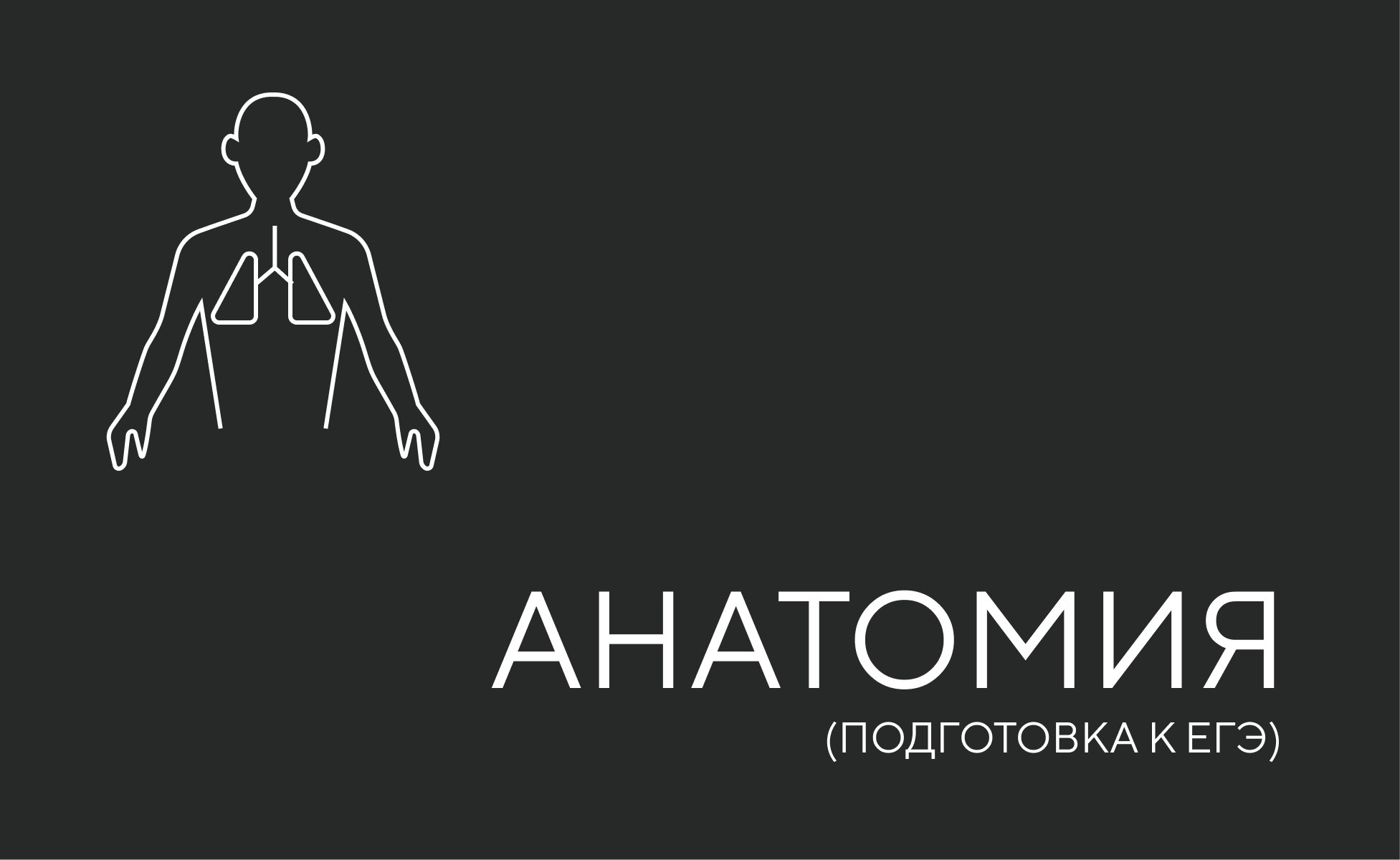 анатомия