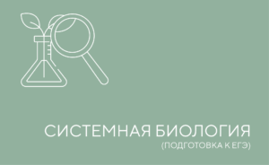 сис биология
