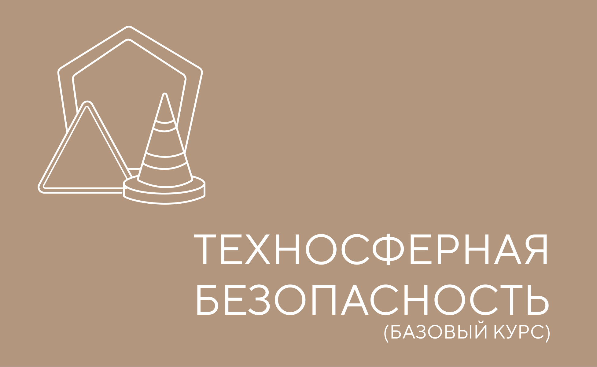 Техносферная безопасность