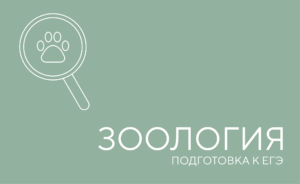 зоология егэ