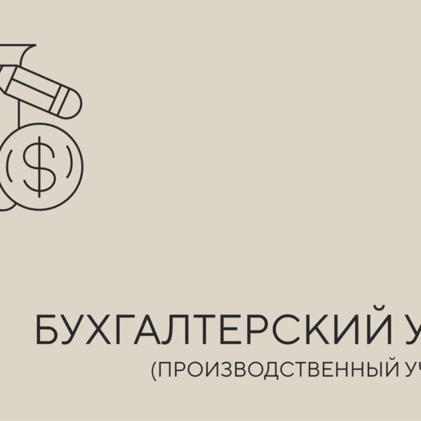 бухгалтерский учет гоз
