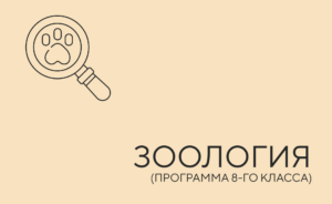 зоология 8