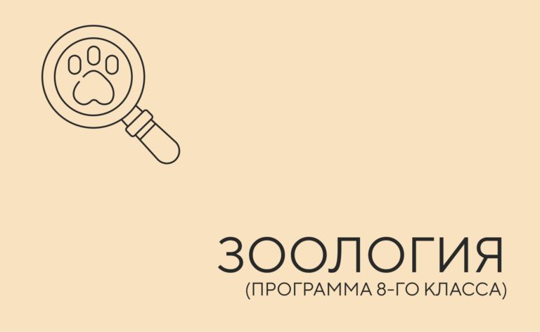 Биология 8 класс: Царство животные