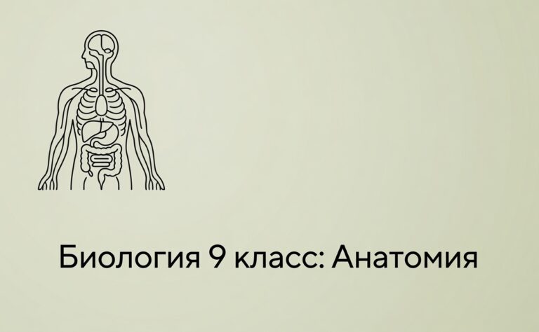 Биология 9 класс: Анатомия