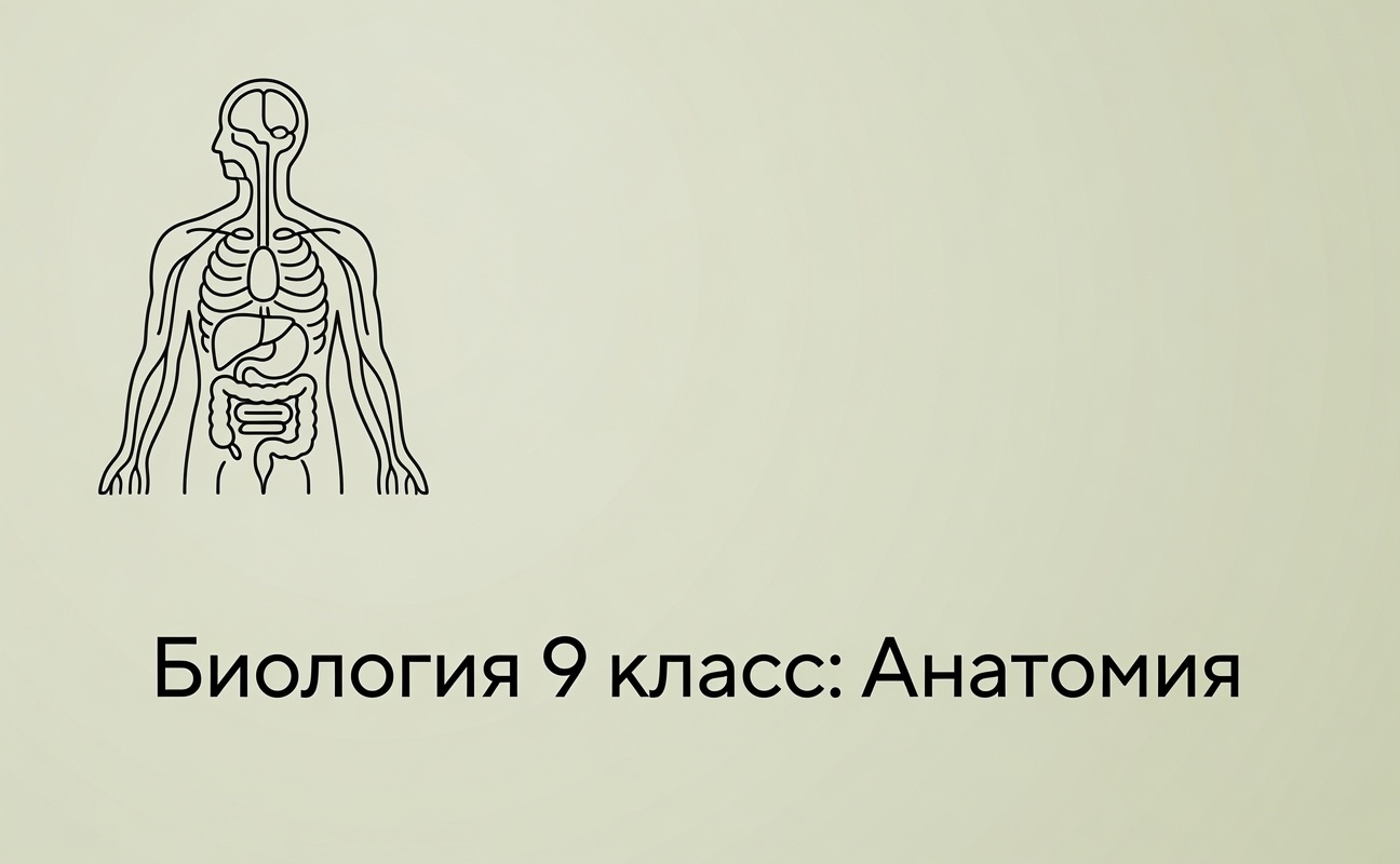 Биология 9 класс: Анатомия
